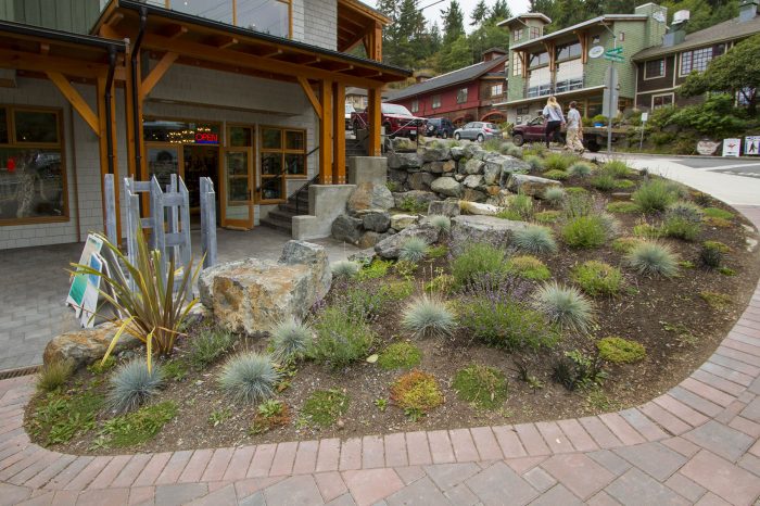 A large oval garden of low round bushes surrounded by red pavers in front of the new pub on Bowen Island