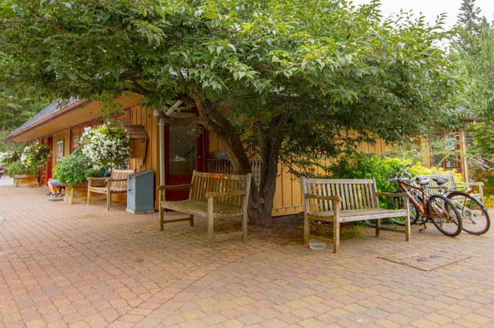 Comfortable wooden benches on the rustic pavers under a spreading summer tree in Village Square.